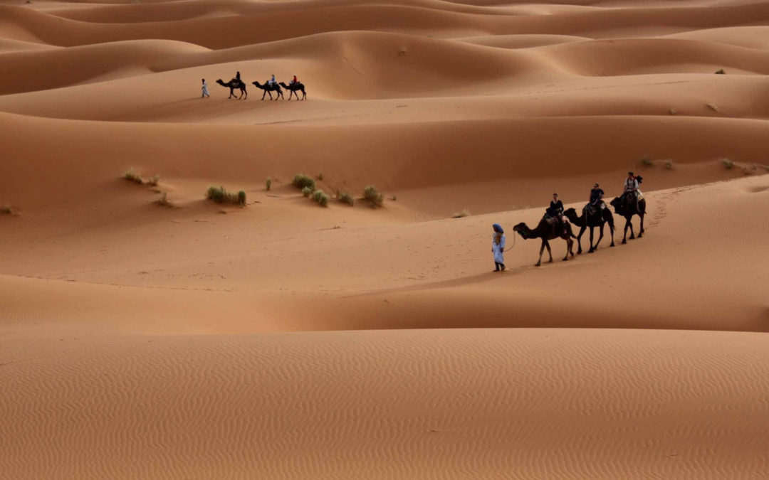 Tour de 2 días de Fez a Fez – dunas del desierto