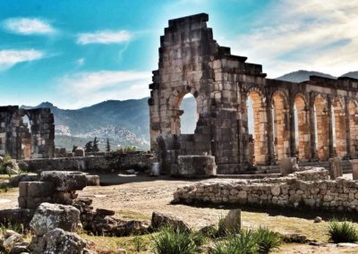 volubilis-bg